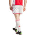 adidas Ajax Thuis Short 2023/2024