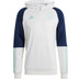 adidas Ajax TK Hoody 2023/2024