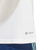 adidas Ajax Training Shirt 2023/2024