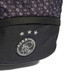 adidas Ajax Backpack 2023/2024
