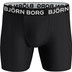 Björn Borg Performance Boxer 2P Heren