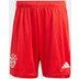 adidas Bayern München Pre-Match Träningsset
