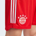 adidas Bayern München Pre-Match Träningsset
