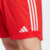 adidas Bayern München Pre-Match Träningsset

