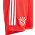adidas Bayern München Pre-Match Trainingsset Kinder
