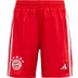 adidas Bayern München Thuis Tenue Little Kids