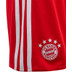 adidas Bayern München Thuis Tenue Little Kids