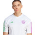 adidas Bayern München Trainingsset
