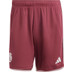 adidas Bayern München Tredjetröja Fotboll kit
