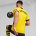 Puma Borussia Dortmund Authentic Thuis Shirt