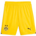 Puma Borussia Dortmund Uit Tenue