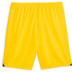 Puma Borussia Dortmund Uit Tenue