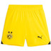 Puma Borussia Dortmund Uit Tenue Kids