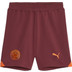 Puma Manchester City Uit Tenue Kids