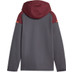 Puma Manchester City Casual Trainingspak
