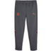 Puma Manchester City Casual Trainingspak