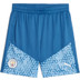 Puma Manchester City Träningsset