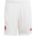 adidas Manchester United 3rd Short 2023/2024