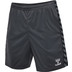 Hummel Authentic PL Trainingsset Men