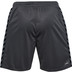 Hummel Authentic PL Trainingsset Men