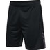 Hummel Active PL Shorts Men