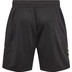 Hummel Active PL Shorts Men