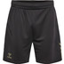 Hummel Active PL Shorts Men