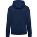 Hummel Active Cotton Hoodie Men
