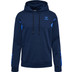 Hummel Active Cotton Hoodie Men