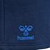 Hummel Active Cotton Shorts Men