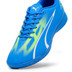 Puma Ultra Play Indoor