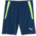 Puma LIGA Training Short