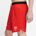 Nike Dri-FIT Kipchoge Stride 7'' Short Heren