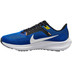 Nike Pegasus 40 Heren