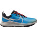 Nike Pegasus Trail 4 Heren