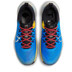 Nike Pegasus Trail 4 Heren