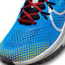 Nike Pegasus Trail 4 Heren