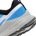 Nike Pegasus Trail 4 Heren