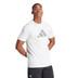 adidas Graphic Training Tee
