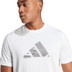 adidas Graphic Training Tee
