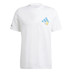 adidas Graphic Tee
