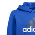 adidas Essentials Big Logo Hoody Jongens 3