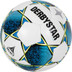Ballenset Derbystar Classic Light II - Maat 5 - 10 stuks