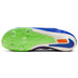 Nike Rival Sprint