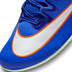 Nike Rival Sprint