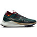 Nike Pegasus Trail 4 GTX Heren