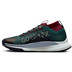 Nike Pegasus Trail 4 GTX Heren