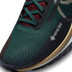 Nike Pegasus Trail 4 GTX Heren