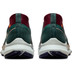 Nike Pegasus Trail 4 GTX Heren
