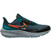Nike Pegasus Shield Herren